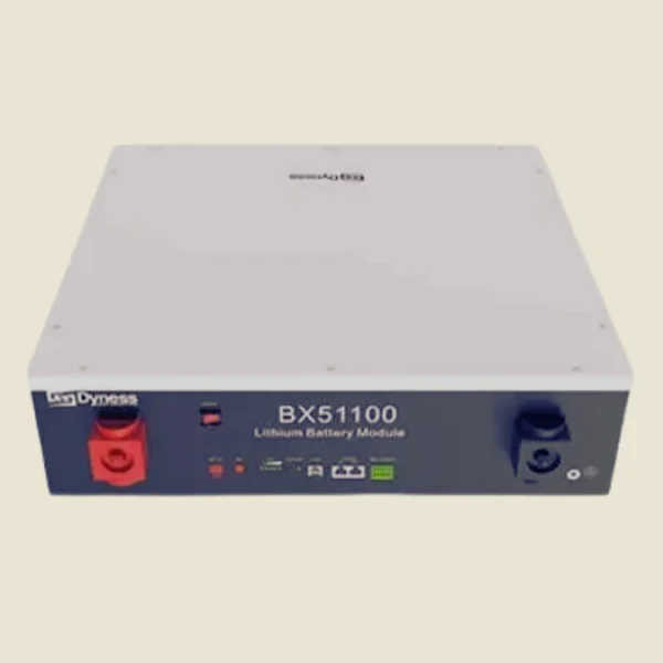 Dyness Lithium Batteries - Image 2